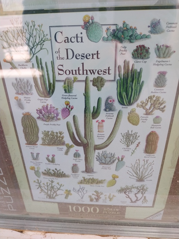 Beschreibung der Kakteen