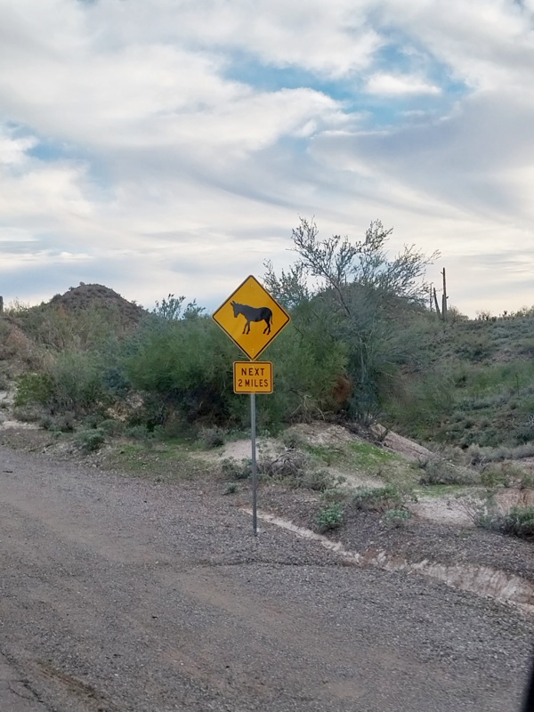 Hoppla was ist den das? Esel ???