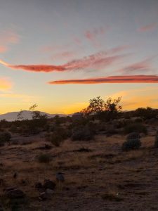 Mehr über den Artikel erfahren 02.07_Amerika – 2. Etappe – Arizona