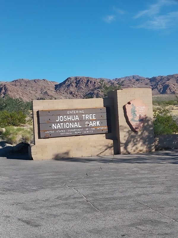 Willkommen im Joshua Tree National Park