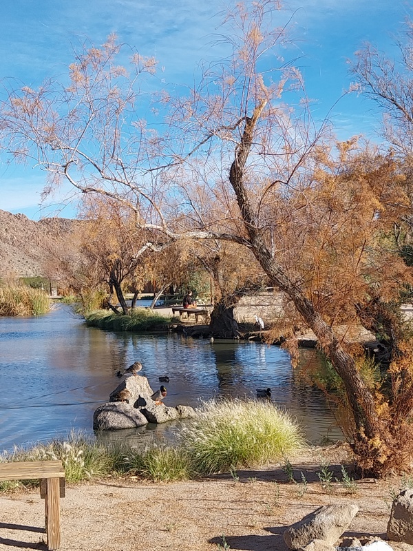 Kleiner See innerhalb des Campingplatzes