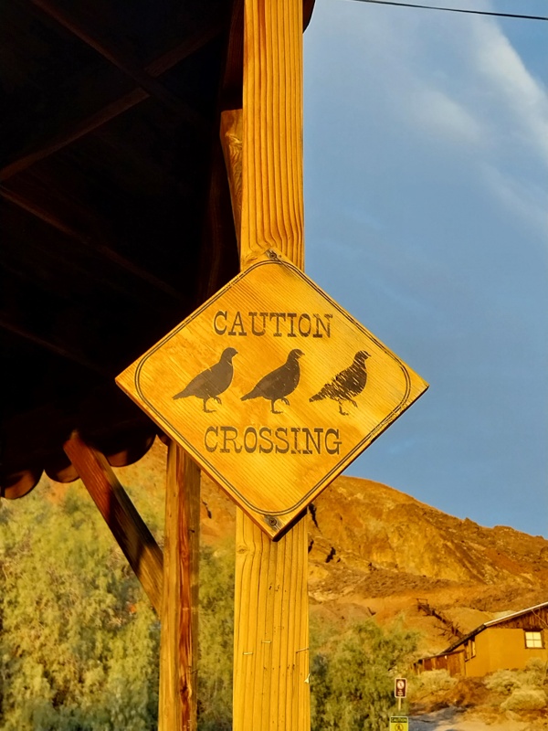 Achtung Vögel überqueren die Strasse