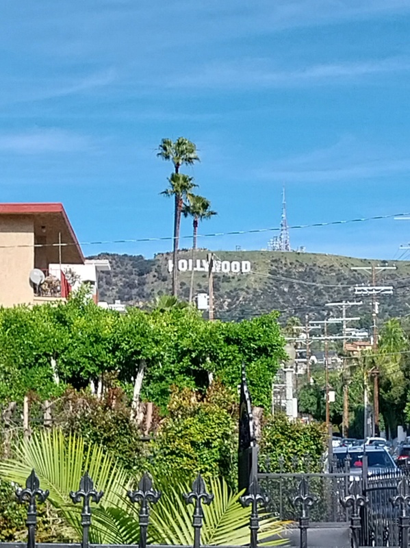 HOLLYWOOD doch noch erwischt