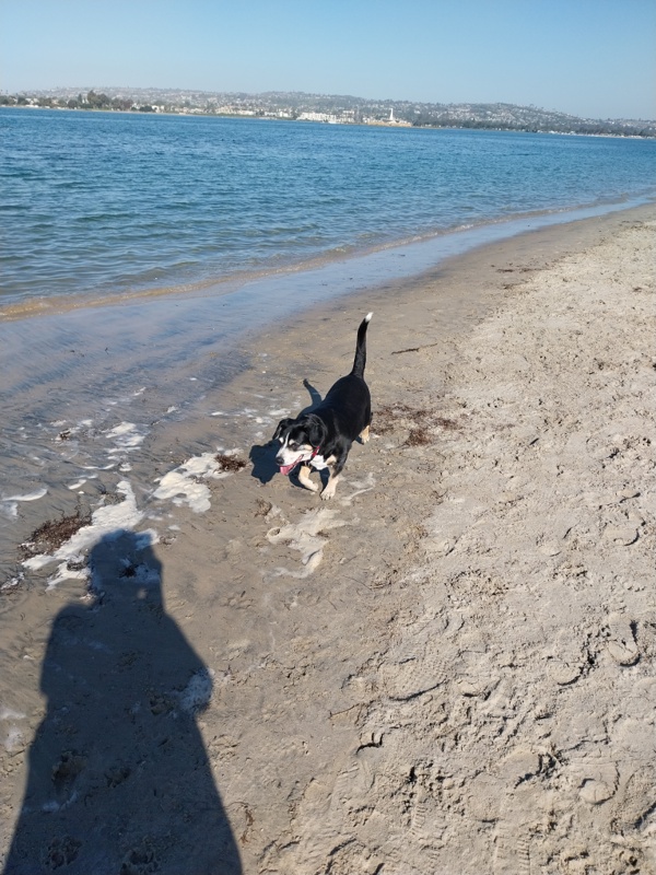 Hundestrand direkt am Meer