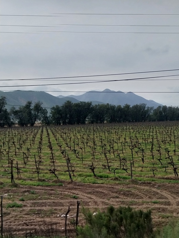 Ein fruchtbares Land