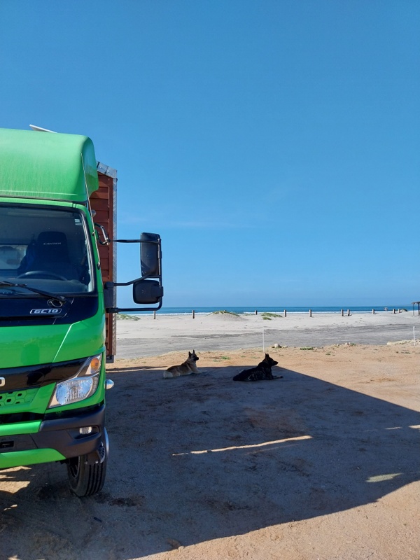 Fidels Palapas RV, gut bewacht von Fidels Hunde