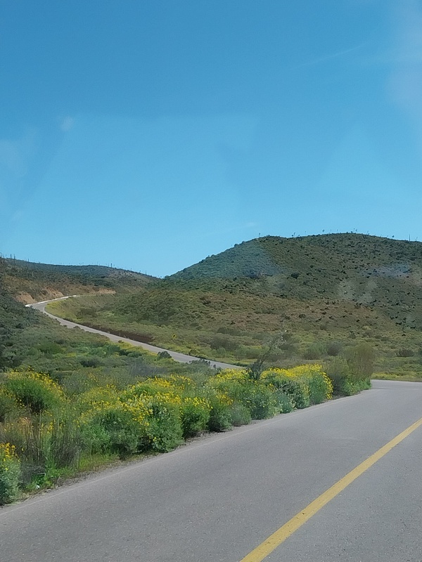 Grünes Land, Berg, so haben wir es uns nicht vorgestellt