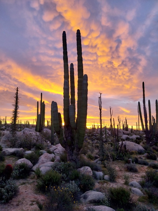 Was für eine Abendstimmung