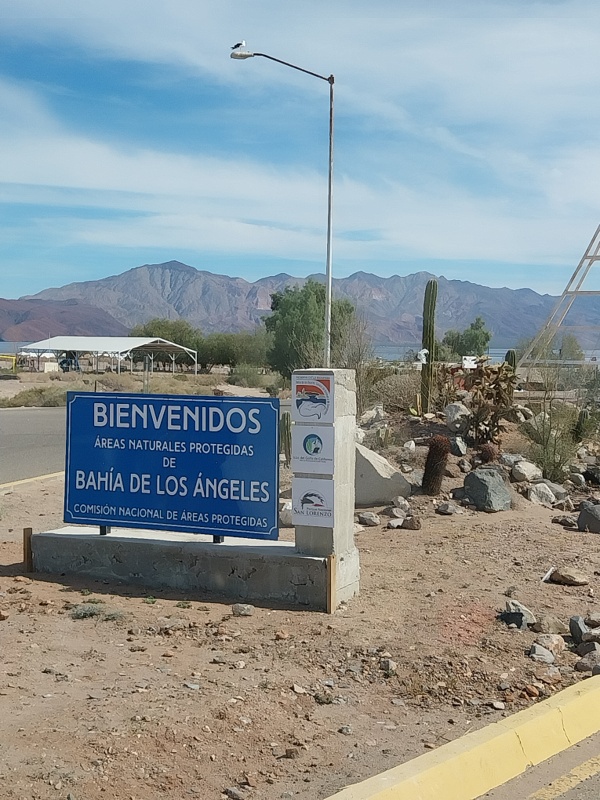 Willkommen in Bahía de los Ángeles