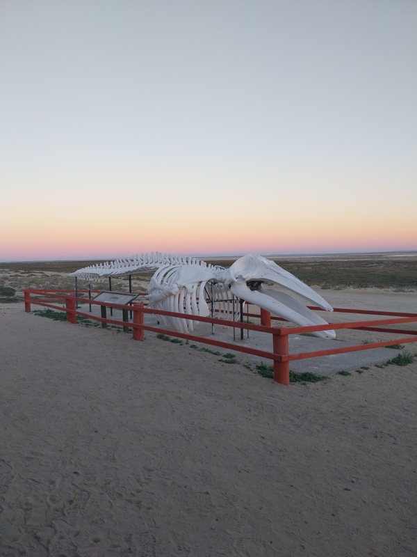 Laguna Ojo de Liebre Campground