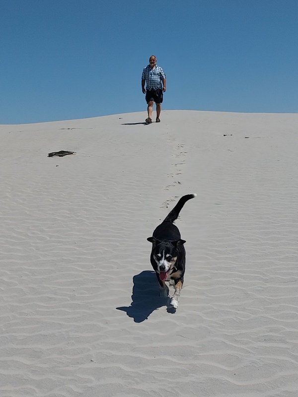 Rennen auf der Sanddüne
