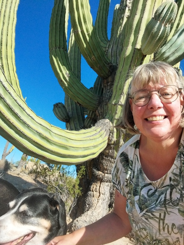 Wieder da - Desert Cactus Wildcamp