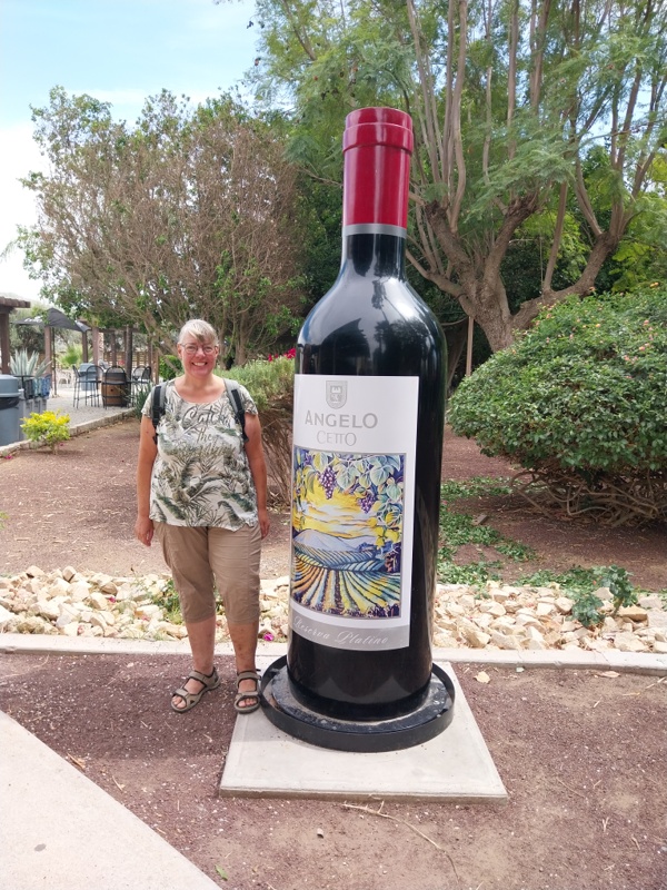 grösste Weinbaukellerei in Mexiko, bei «L.A. Cetto
