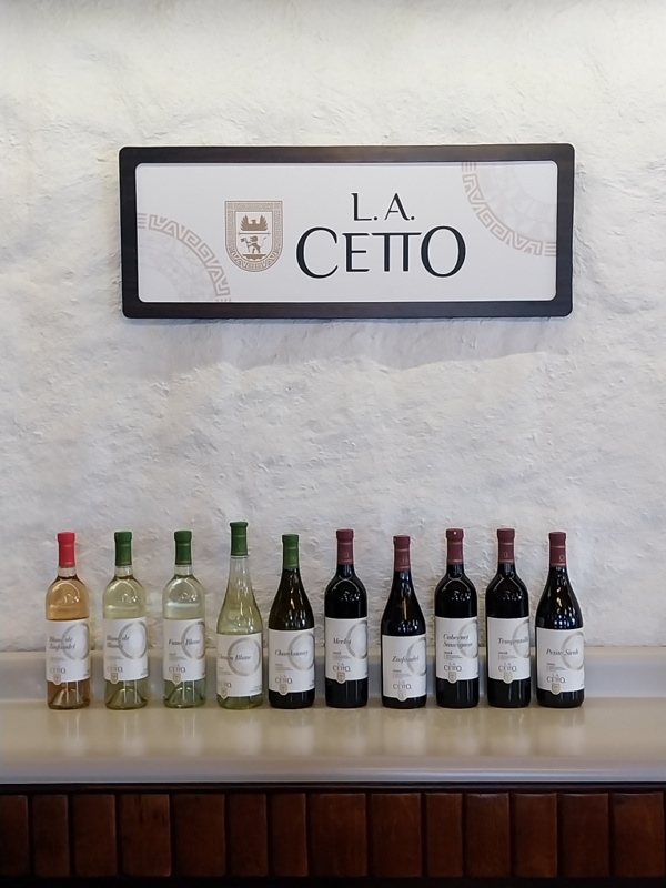 grösste Weinbaukellerei in Mexiko, bei «L.A. Cetto