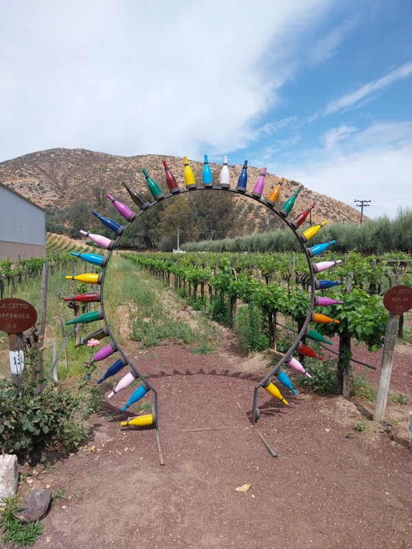 grösste Weinbaukellerei in Mexiko, bei «L.A. Cetto