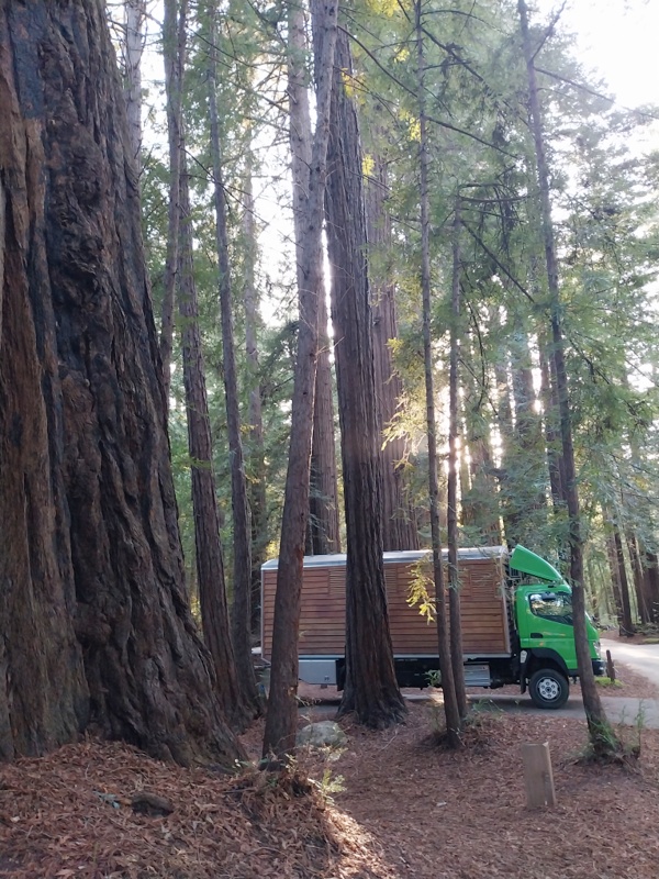 Pfeiffer Big Sur Campground Perfekte Harmonie