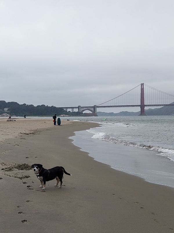 Da steht sie, nein nicht Kiara, sondern die Golden Gate Bridge