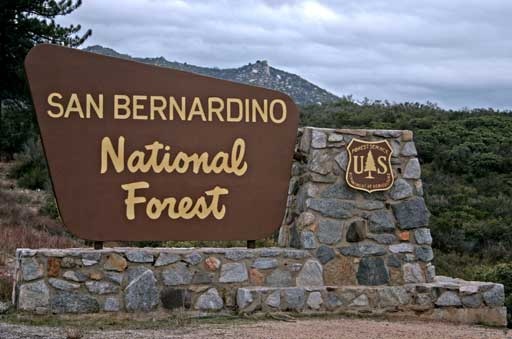 San Bernardino National Forest, USA