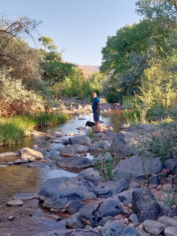Bachlauf des North Creek