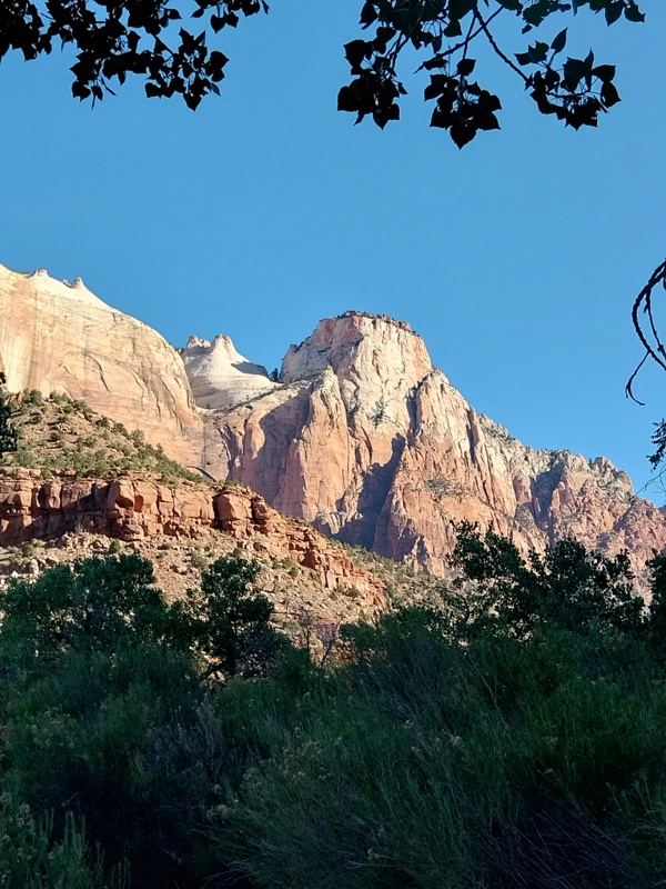 Zion Nationlpark Felsen aus Sandstein und Salzkruste