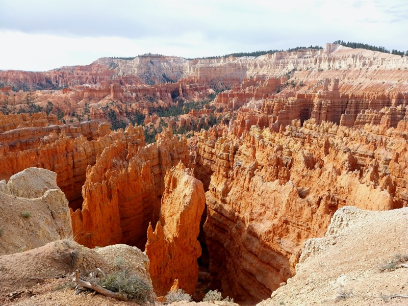 Bryce Canyon Amphitheater mit den typischen Hoodoos