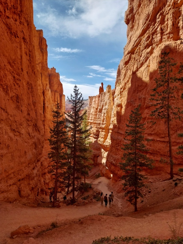 Navajo Loop Trail, Rundweg