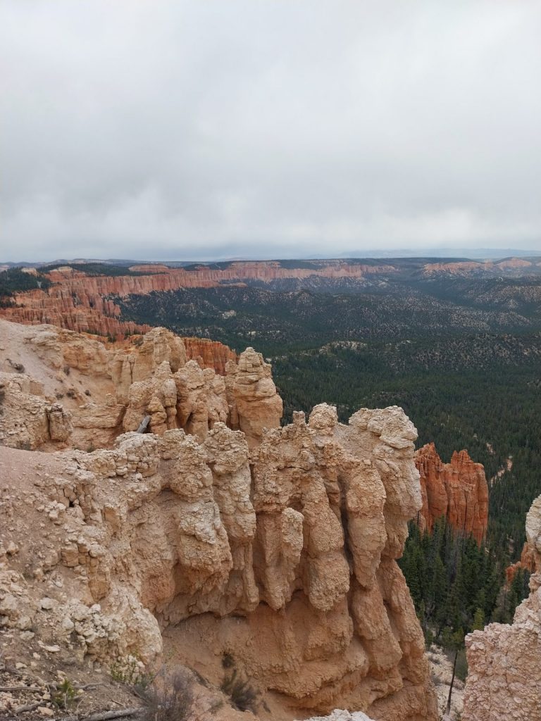 Rainbow Point, zerklüftete Gesteinsformationen die Pink Cliffs mit den charakteristischen Hoodoos