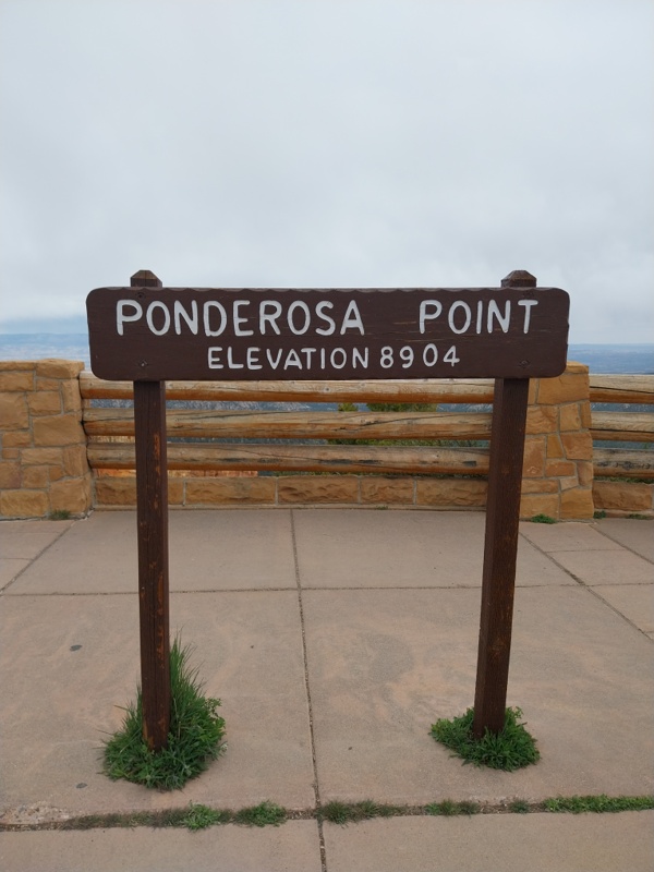 Ponderosa Point 8904 feet / 2714 Meter