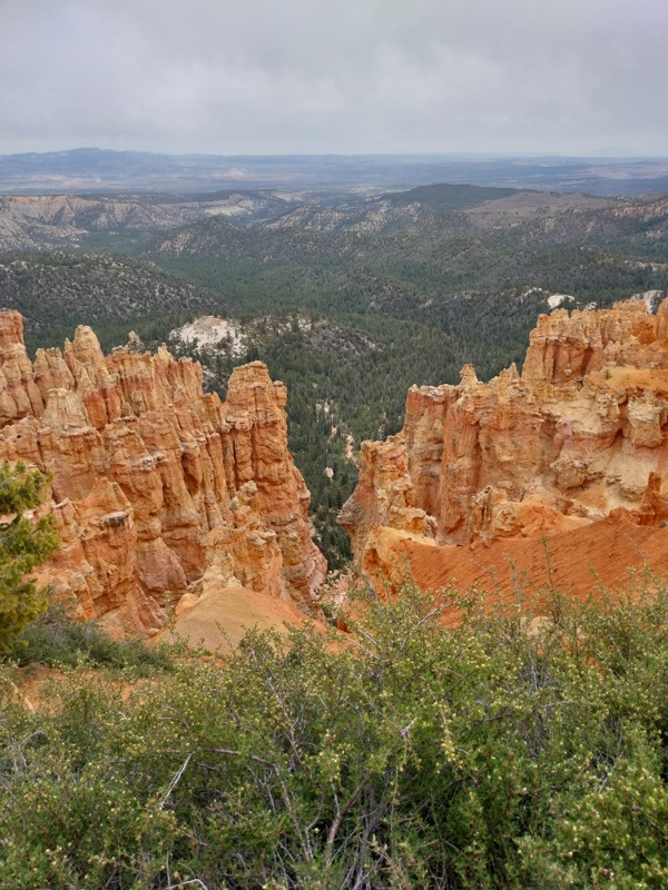 Ponderosa Point Weitblick über die Kiefernwälder