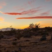 Abendstimmung in der Wüste