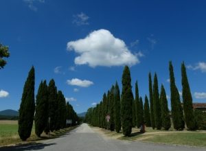 Einfahrt zur Kathedrale typisch Toscana