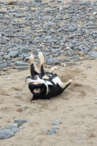 Ach wie ich das Liebe